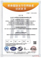 職業(yè)健康安全管理體系認(rèn)證證書(shū)